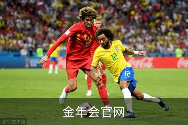 金年会官网 公司简介